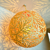 Sola Pendant Light: LS
