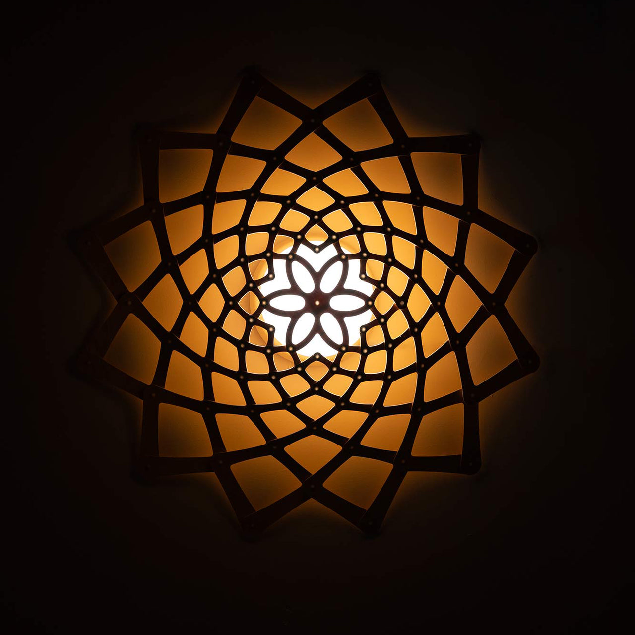 insitu