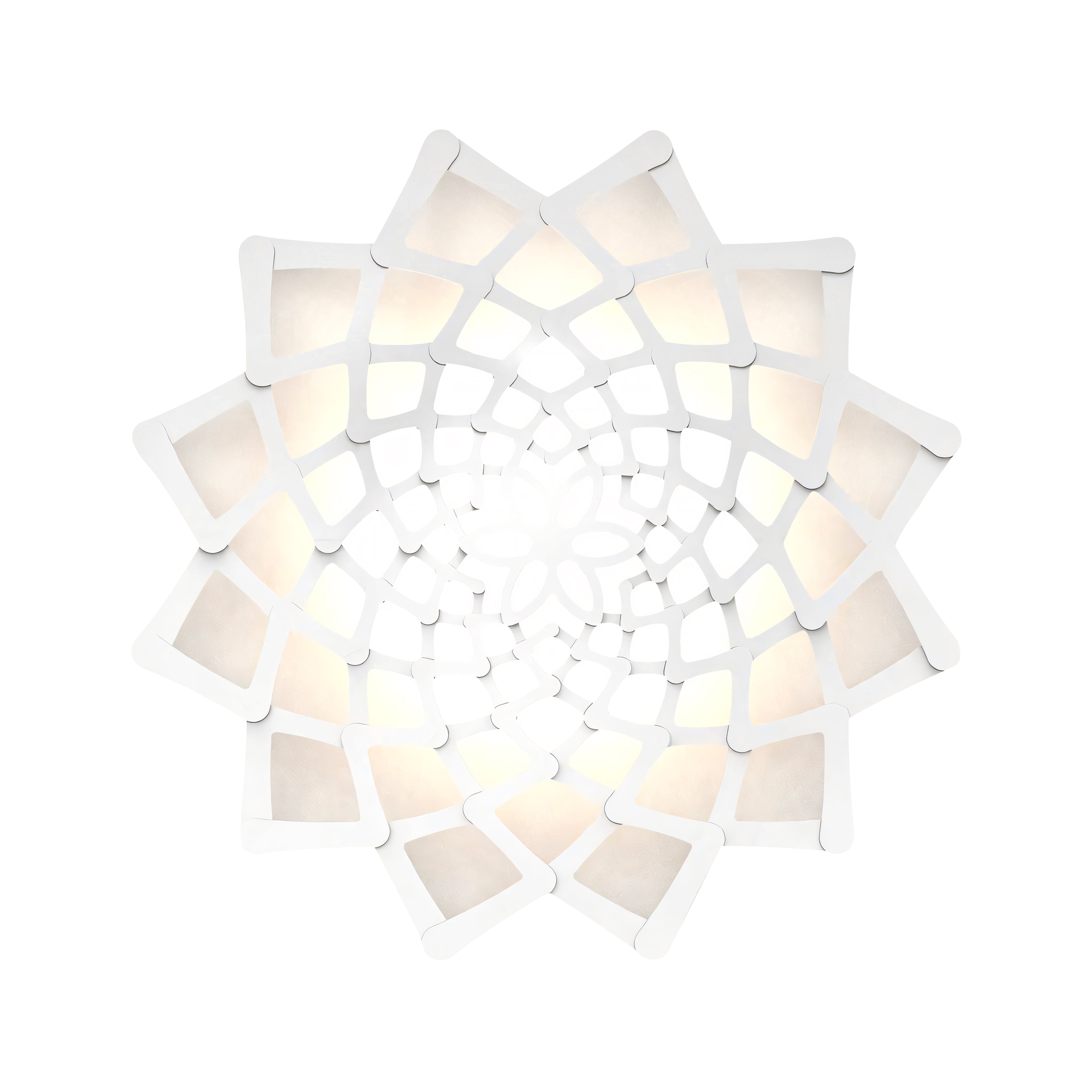 Sunflower Wall Light: Large + White