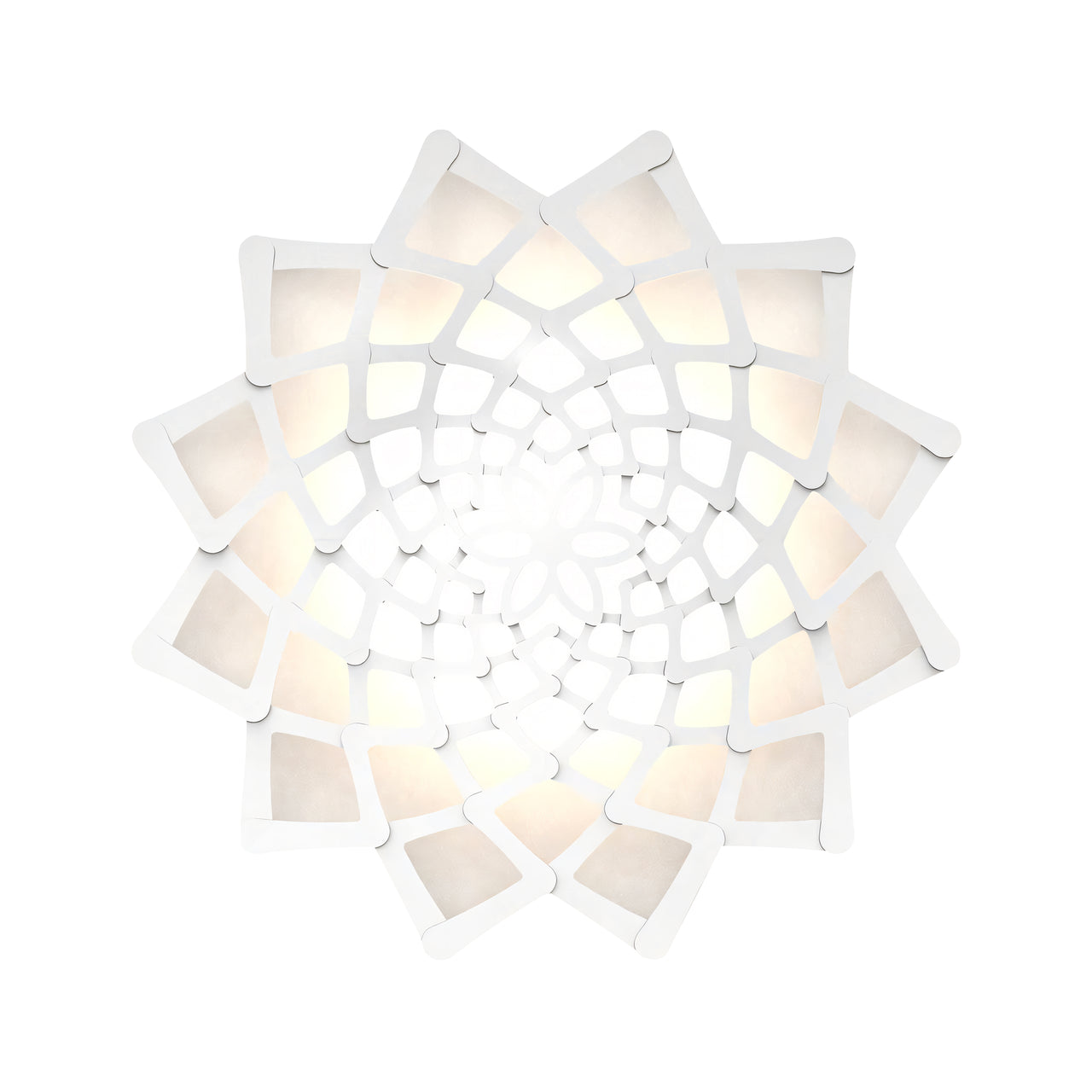 Sunflower Wall Light: Large + White