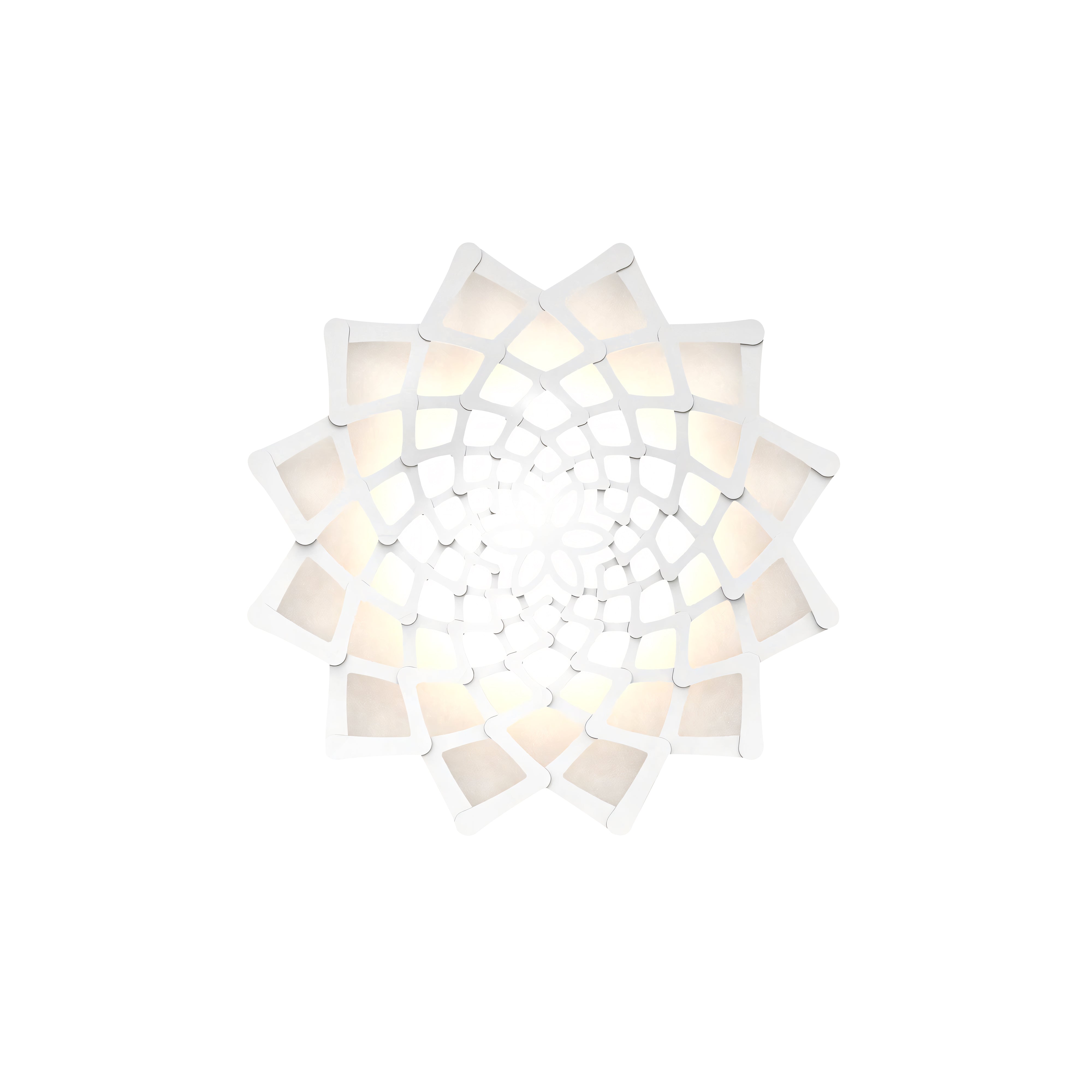 Sunflower Wall Light: Small + White