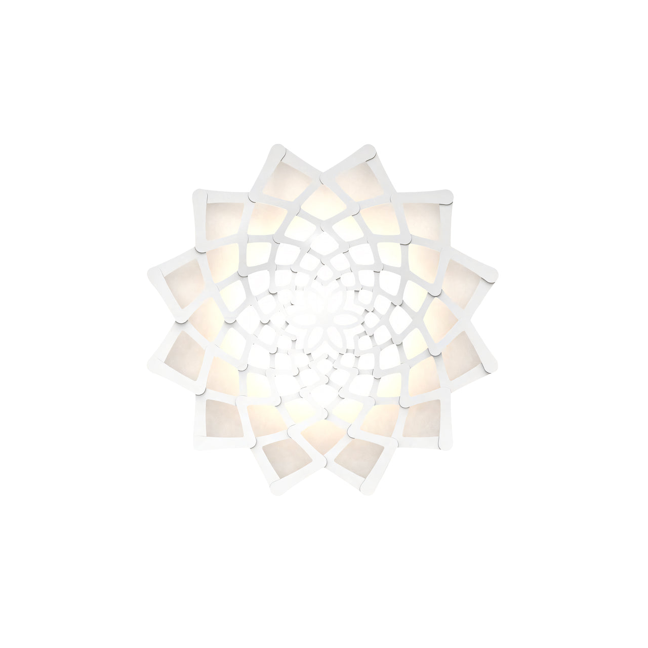 Sunflower Wall Light: Small + White
