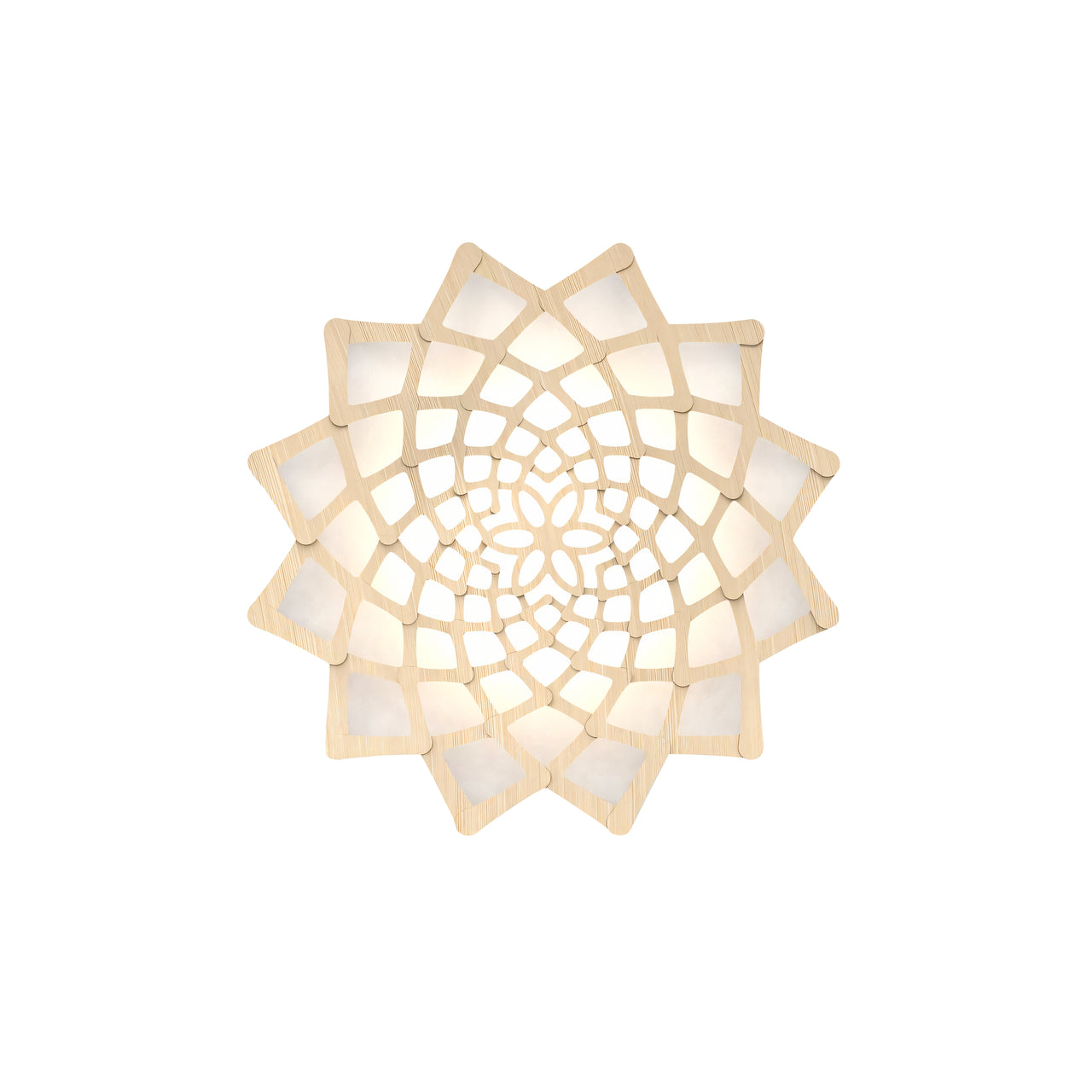 Sunflower Wall Light: Small + Bamboo