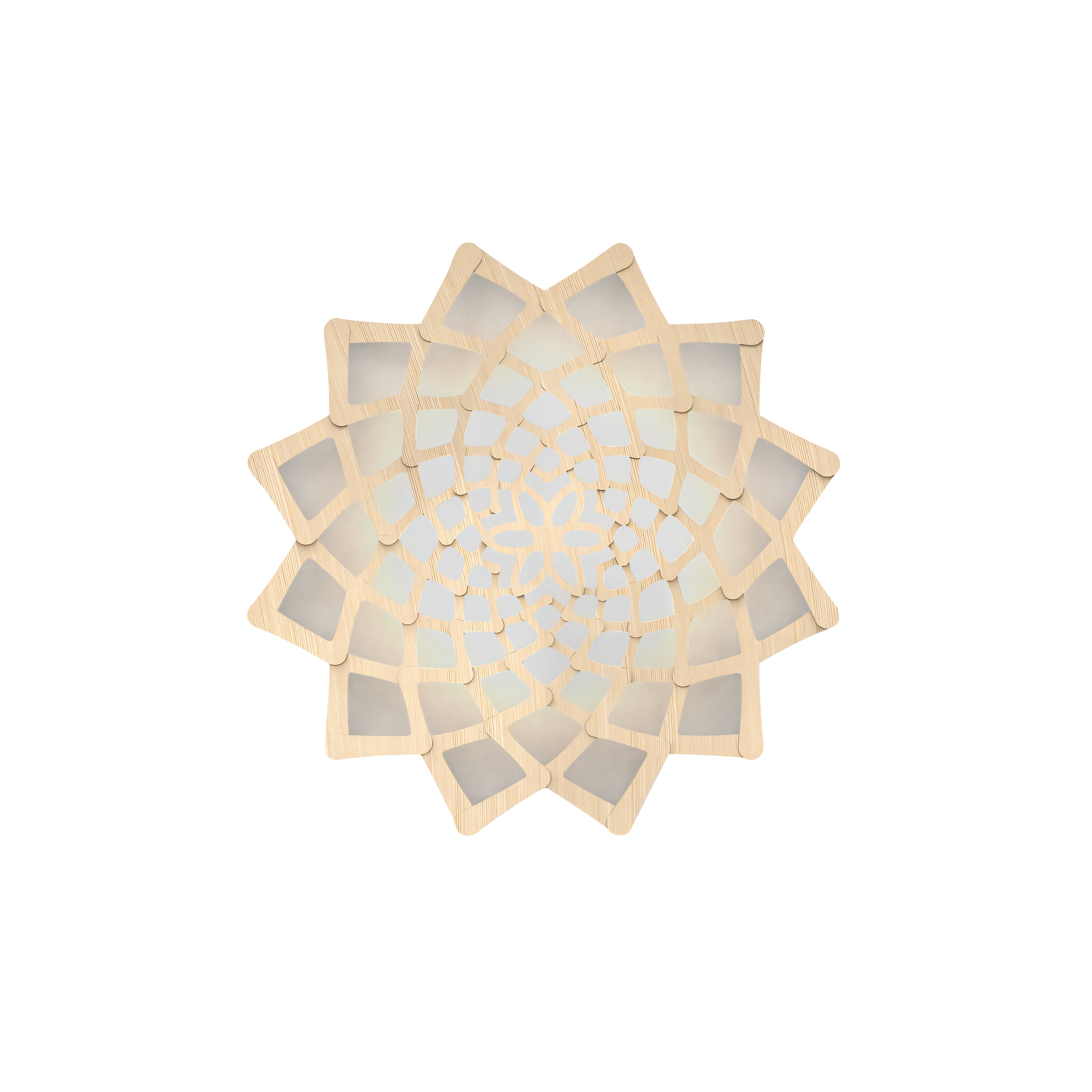 Sunflower Wall Light: Small + Bamboo + Black