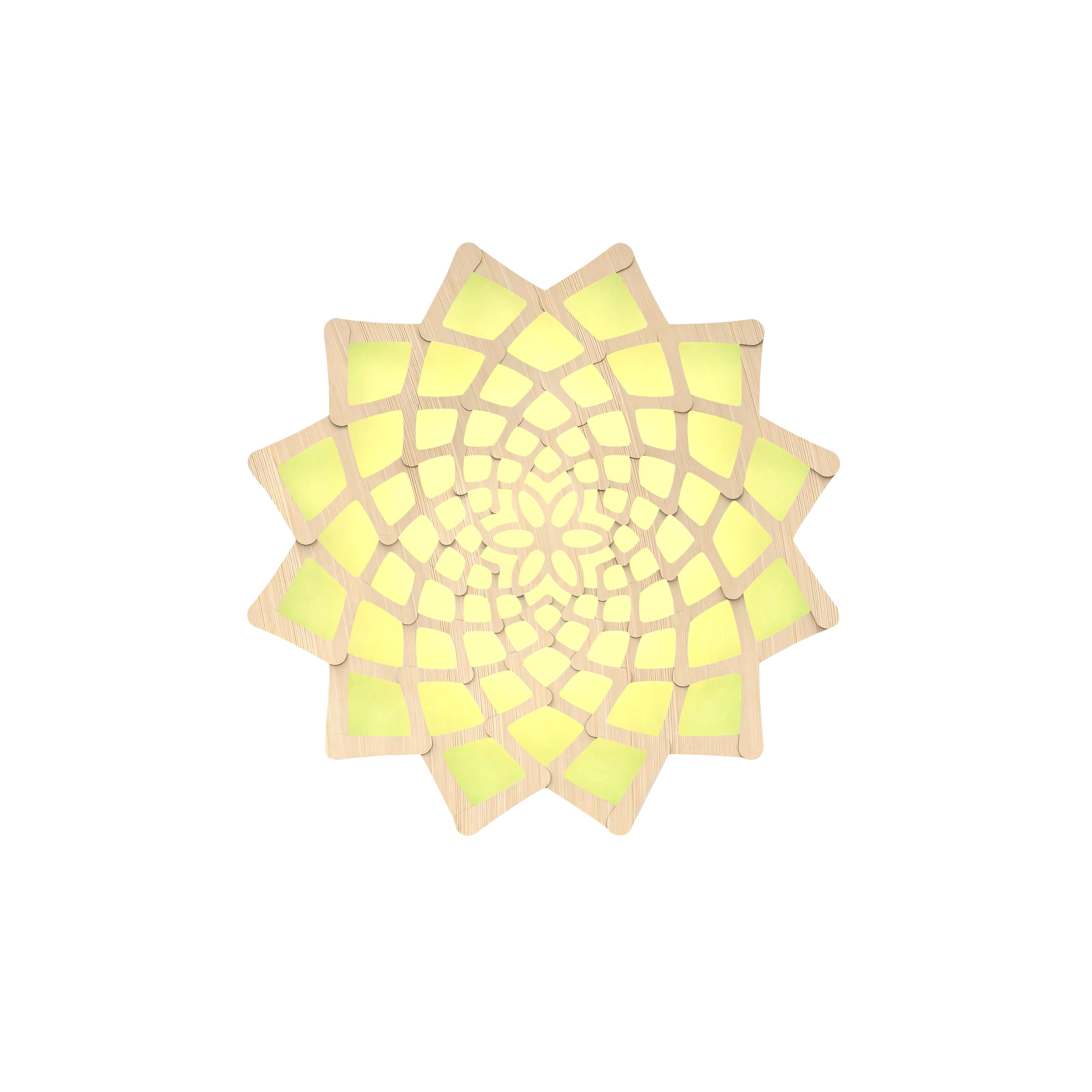 Sunflower Wall Light: Small + Lime