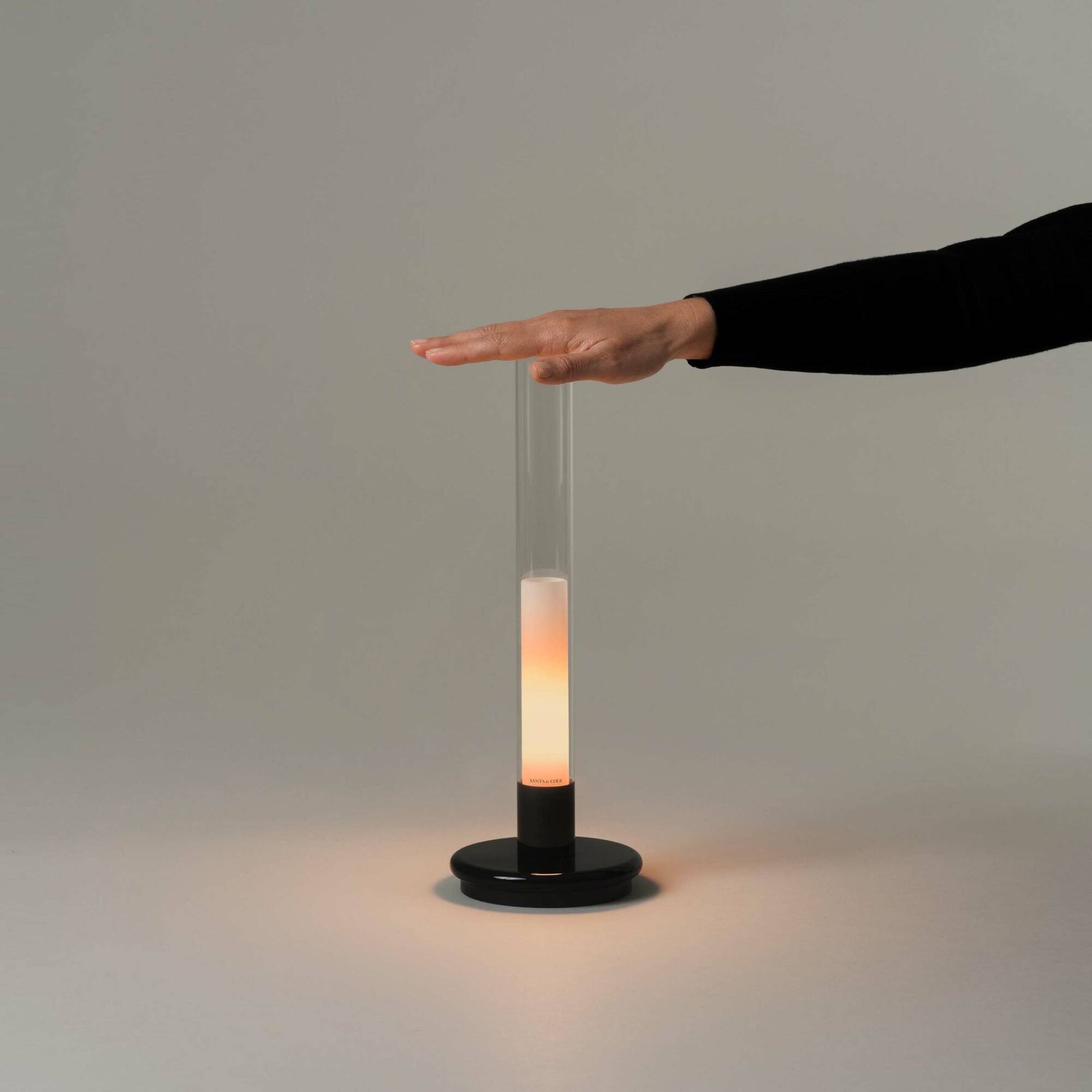 Sylvestrina Portable Table Lamp: Quick Ship