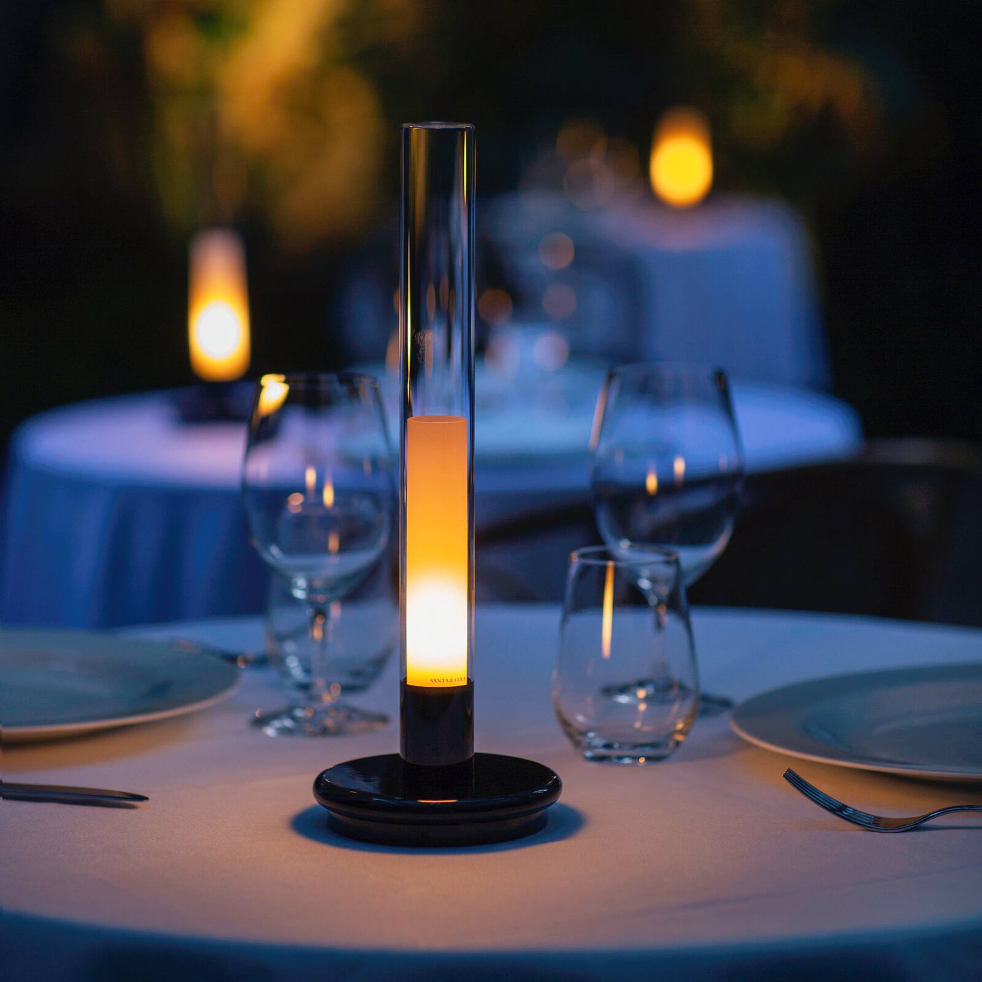 Sylvestrina Portable Table Lamp: Quick Ship