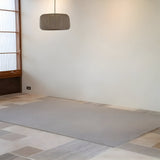 insitu