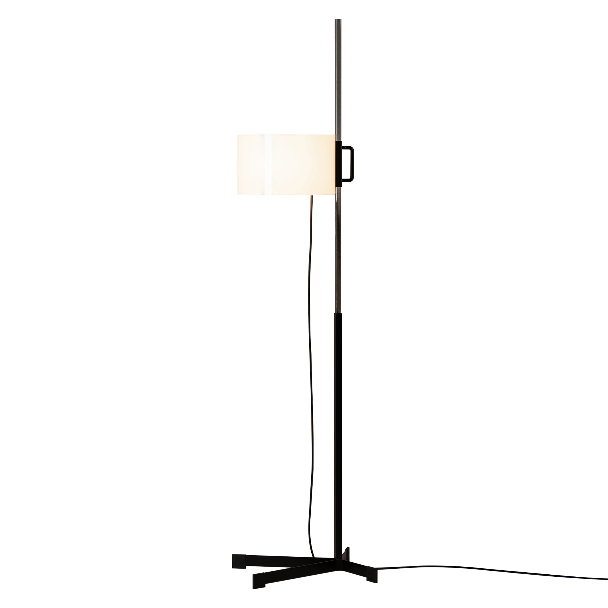 TMC Floor Lamp