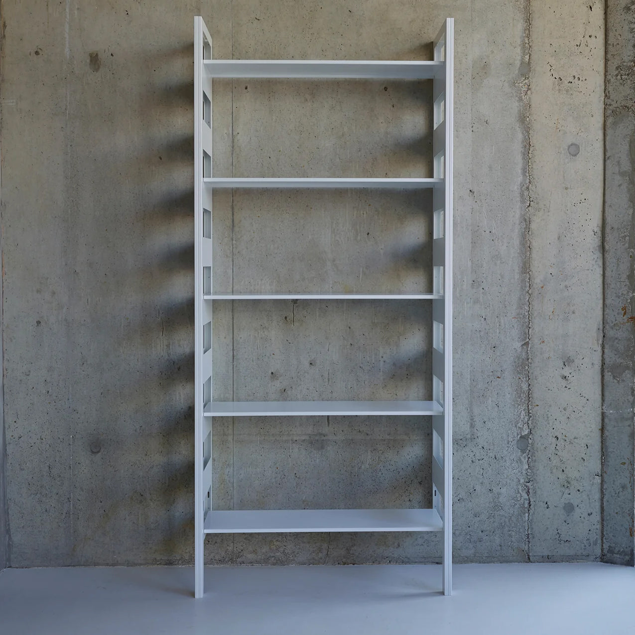 Parallel Shelving System: Modules