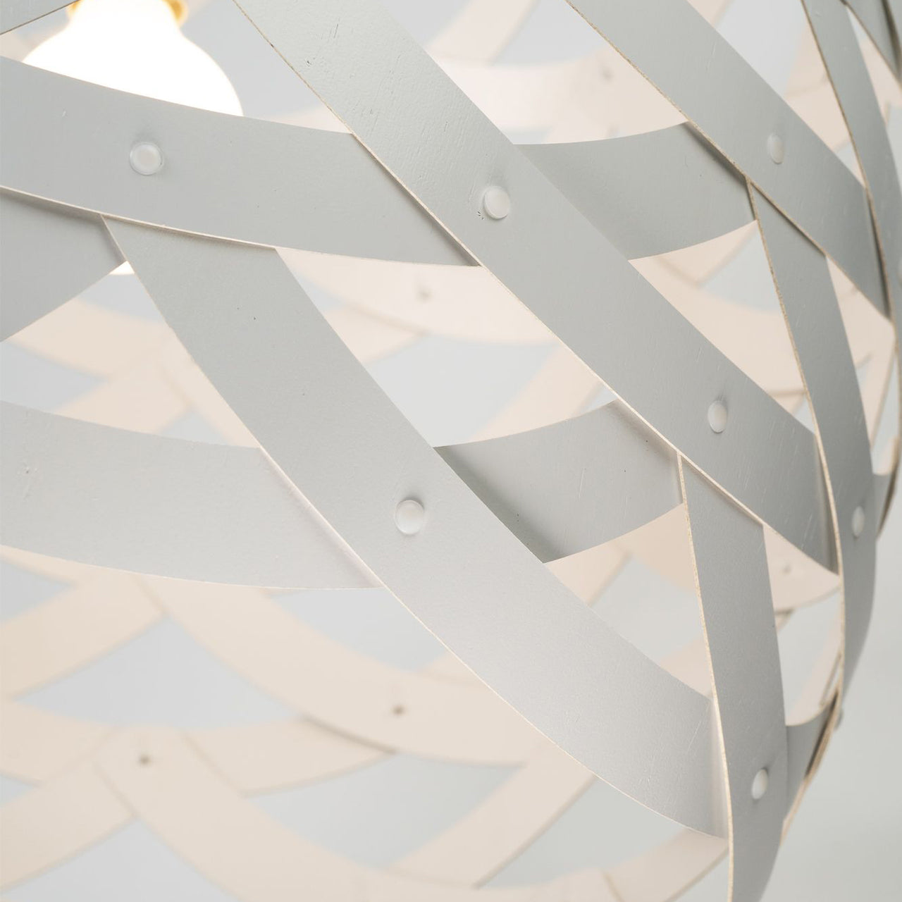 Tūī Pendant Light: Large + DI