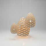 Tūī Pendant Light: Large + LS