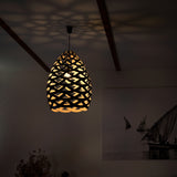 Tūī Pendant Light: Large + LS