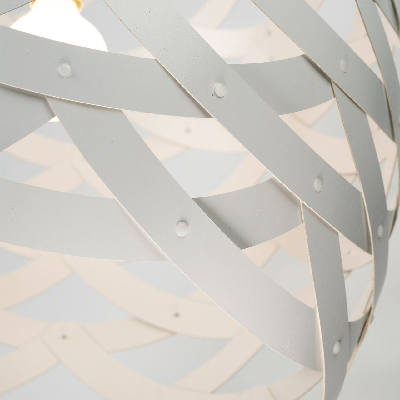 Tūī Pendant Light: Small + DI