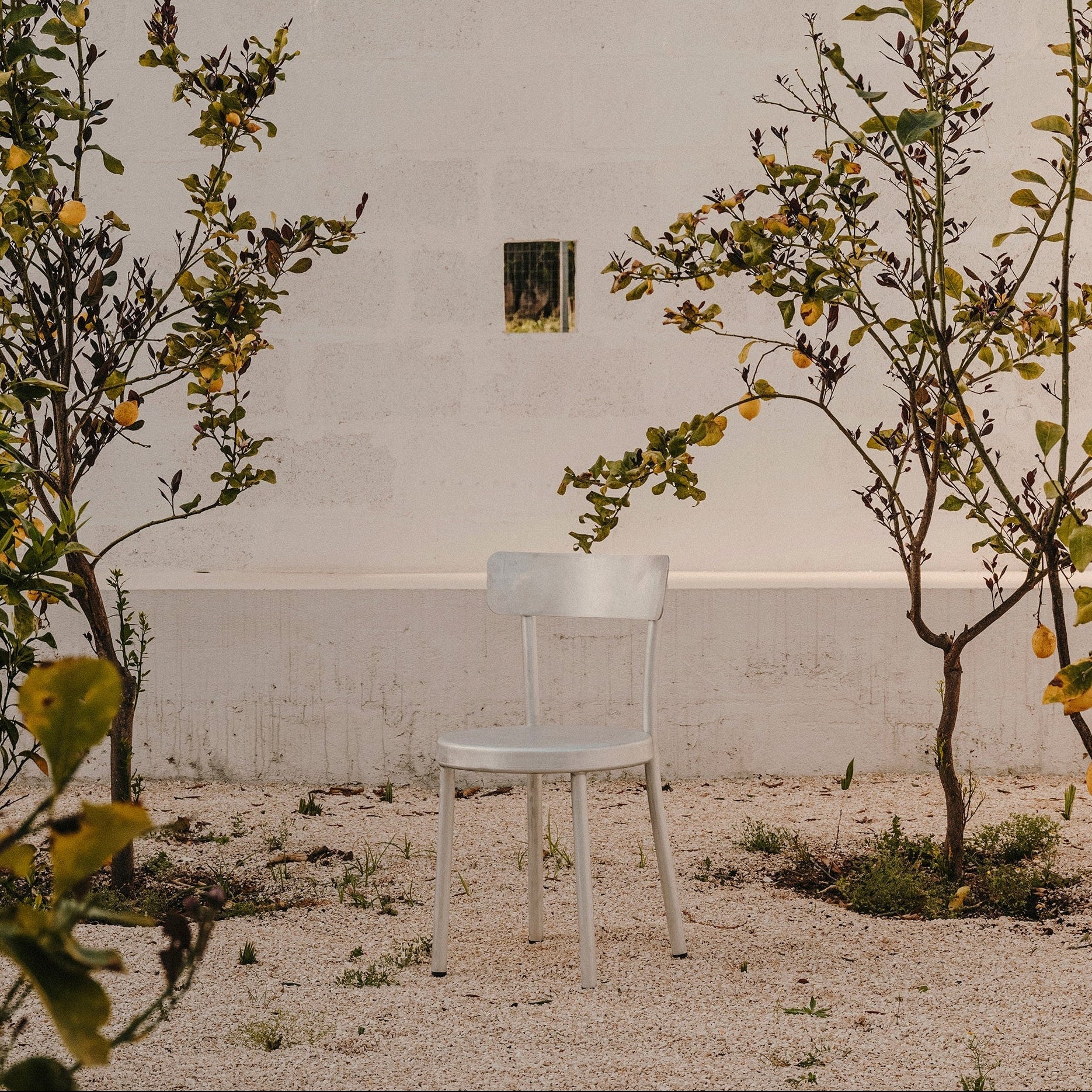 Tasca Chair: LS