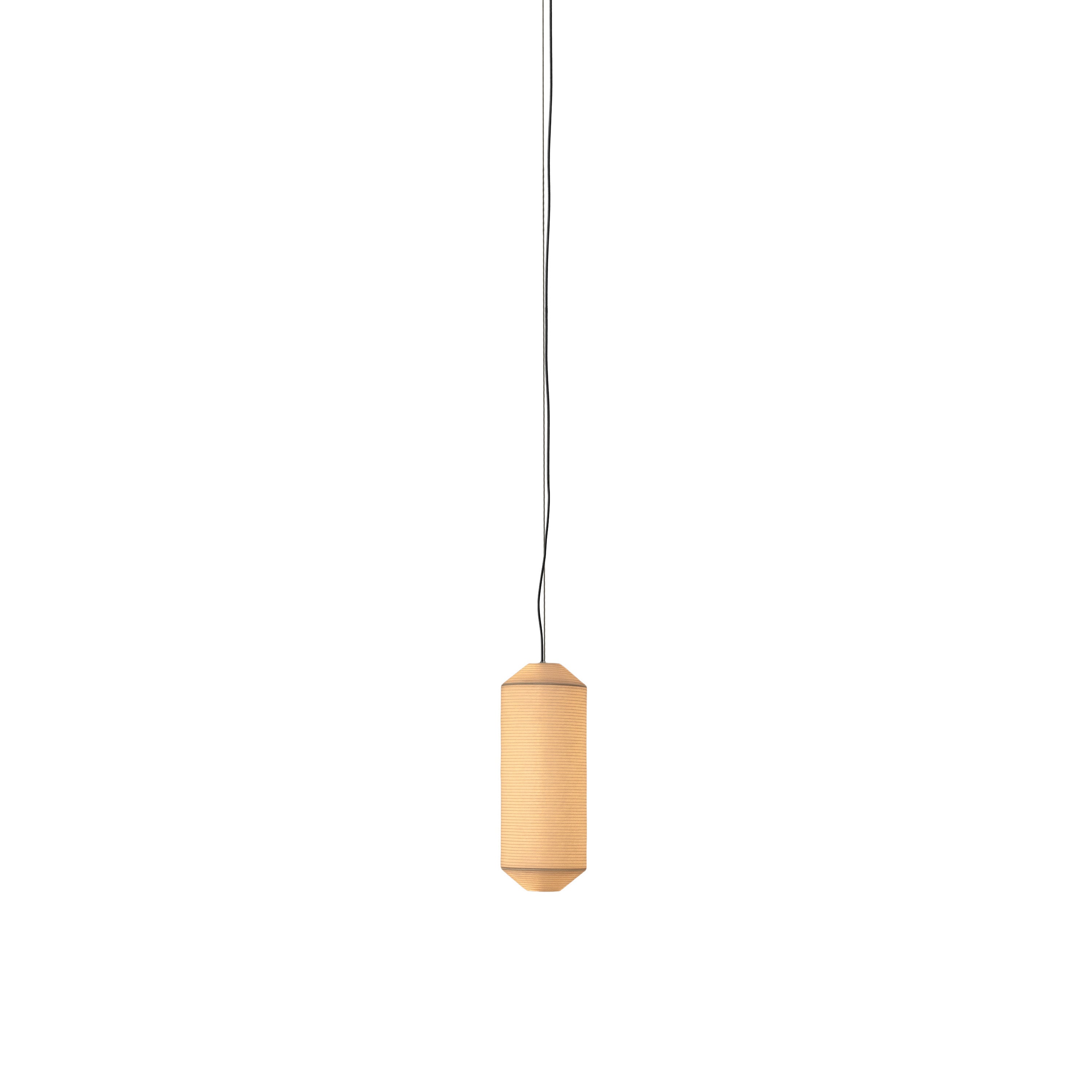 Tekiò Vertical Pendant Lamp: P1