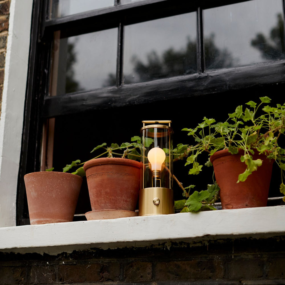 The Muse Portable Lamp Bundle: Special Edition