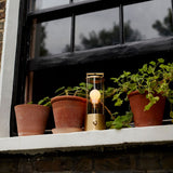 The Muse Portable Lamp Bundle: Special Edition