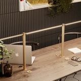 Thin Shared Task Lamp: LS