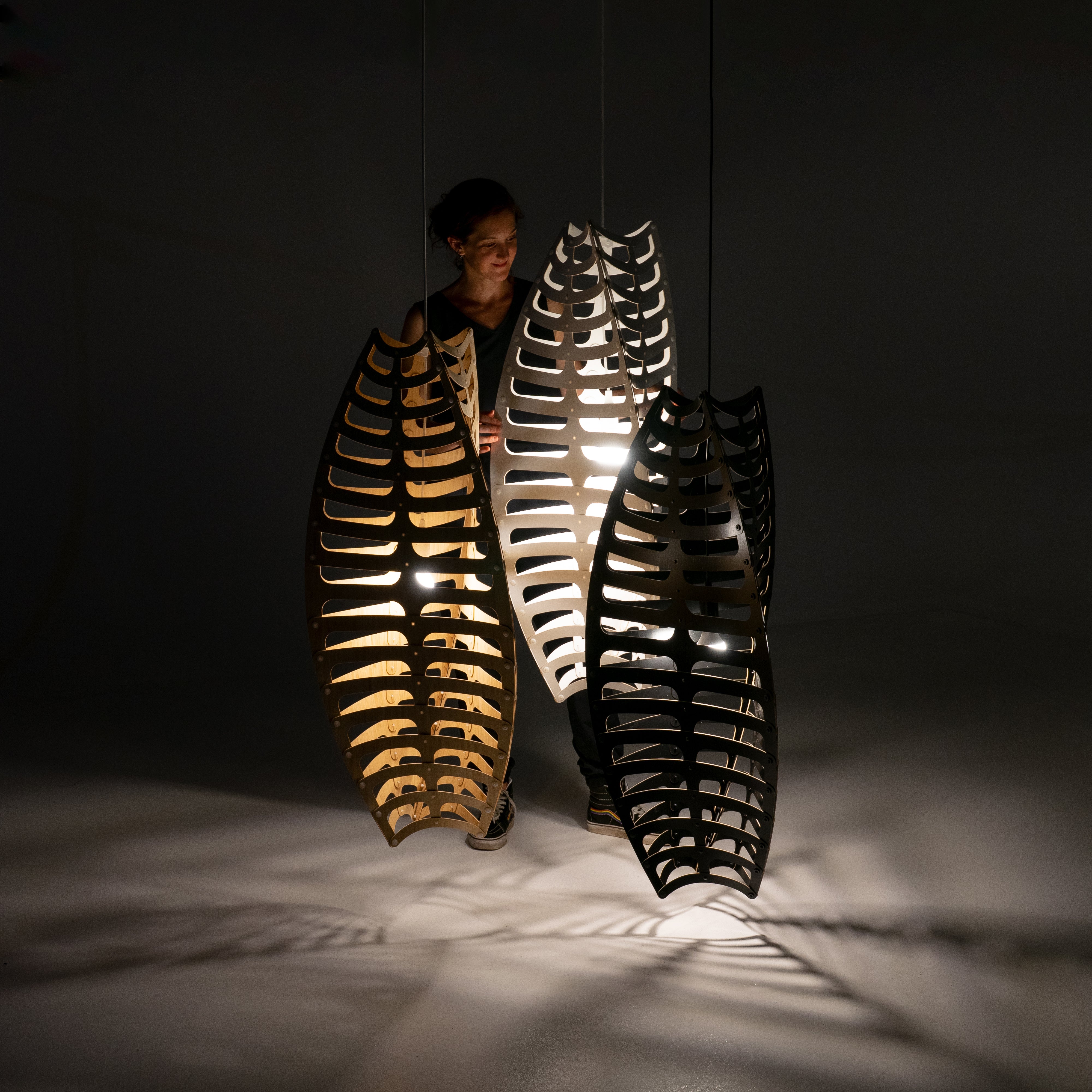 insitu