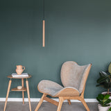 insitu