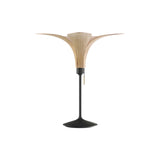 Jazz Champagne Table Lamp: Oak + Black