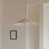 insitu