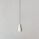 Pleat Box 13 Pendant Light