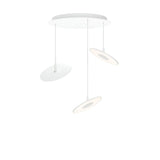 Circa Chandelier: Large - 16