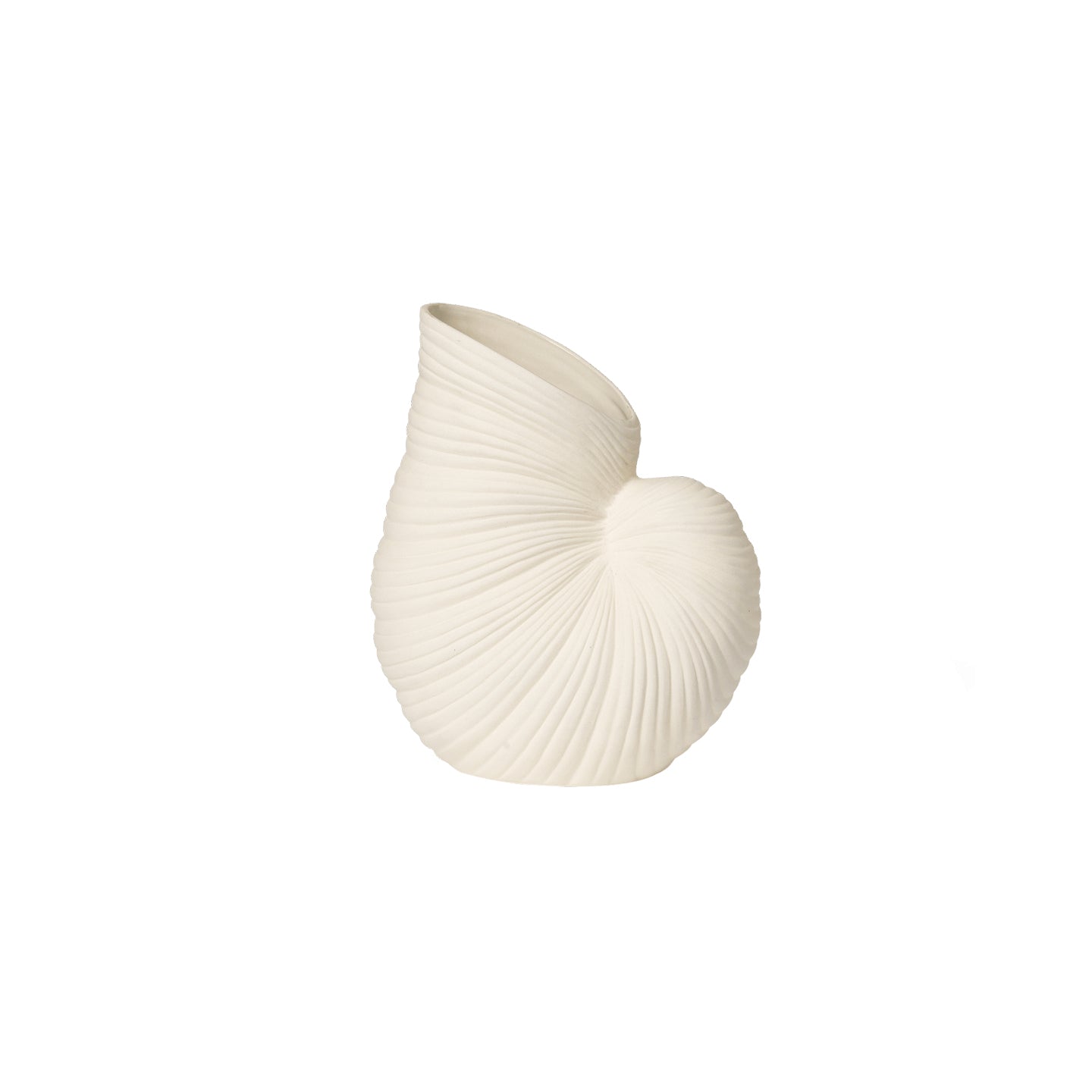 Shell Vase