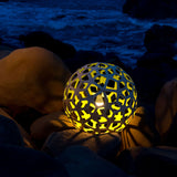 Coral Pendant Light: Outdoor