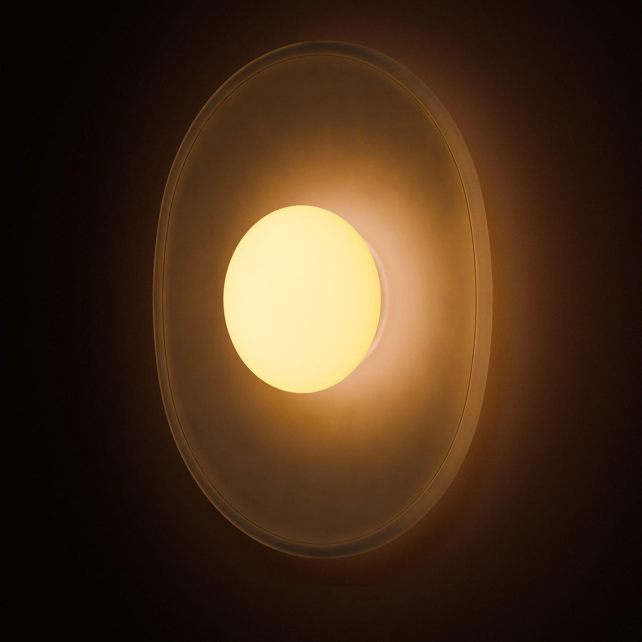 Crepe Sconce: LS