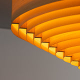 1005 Hans Ceiling Light