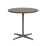 Circular Dining Table: 4 Star Base + Small - 29.5