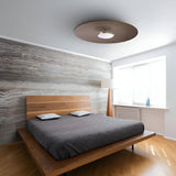 Sky Dome Flush Light: Wood