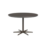 Circular Dining Table: 6 Star Base + Small - 47.2