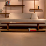 insitu