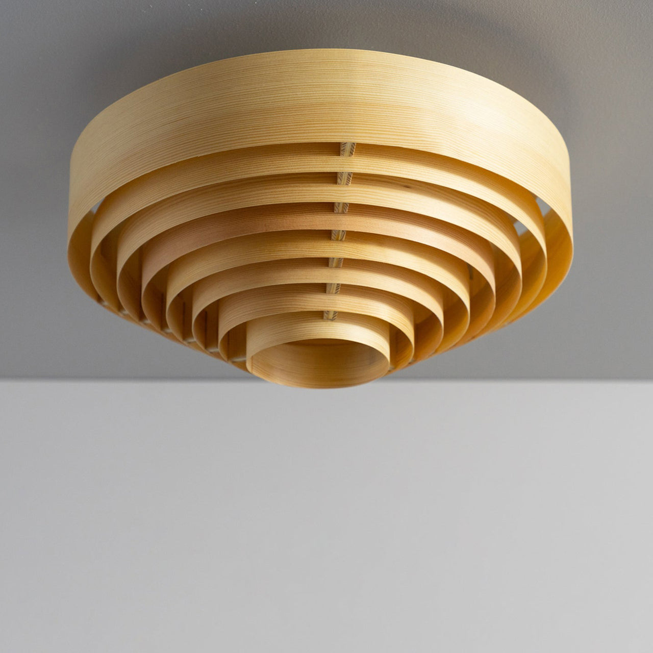 1005 Hans Ceiling Light