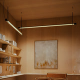 insitu