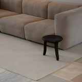 insitu 