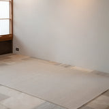 insitu 