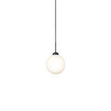 Apiales 1 Pendant: Large - 7.9