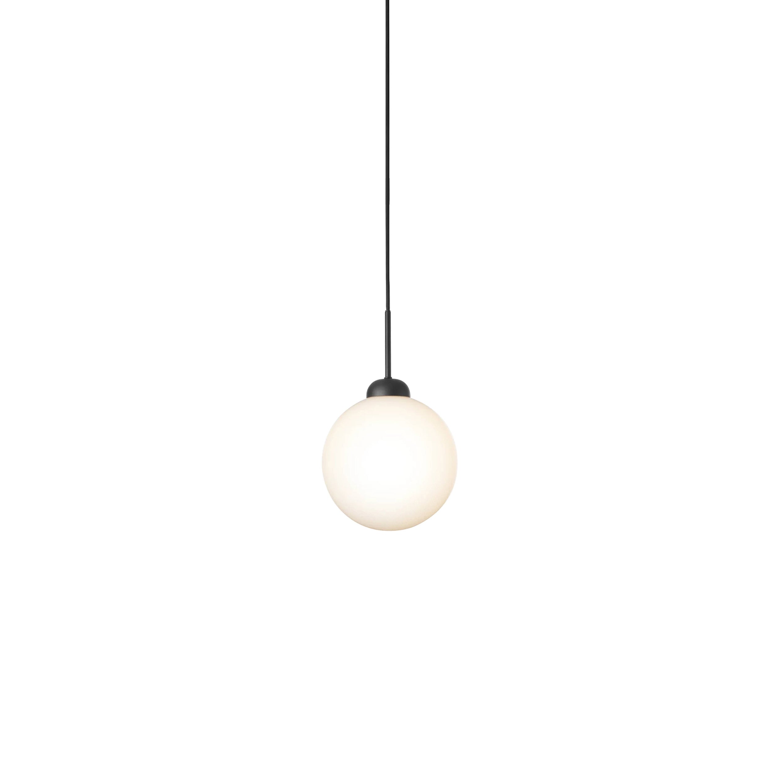 Apiales 1 Pendant: Large - 7.9