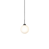 Apiales 1 Pendant: Large - 7.9