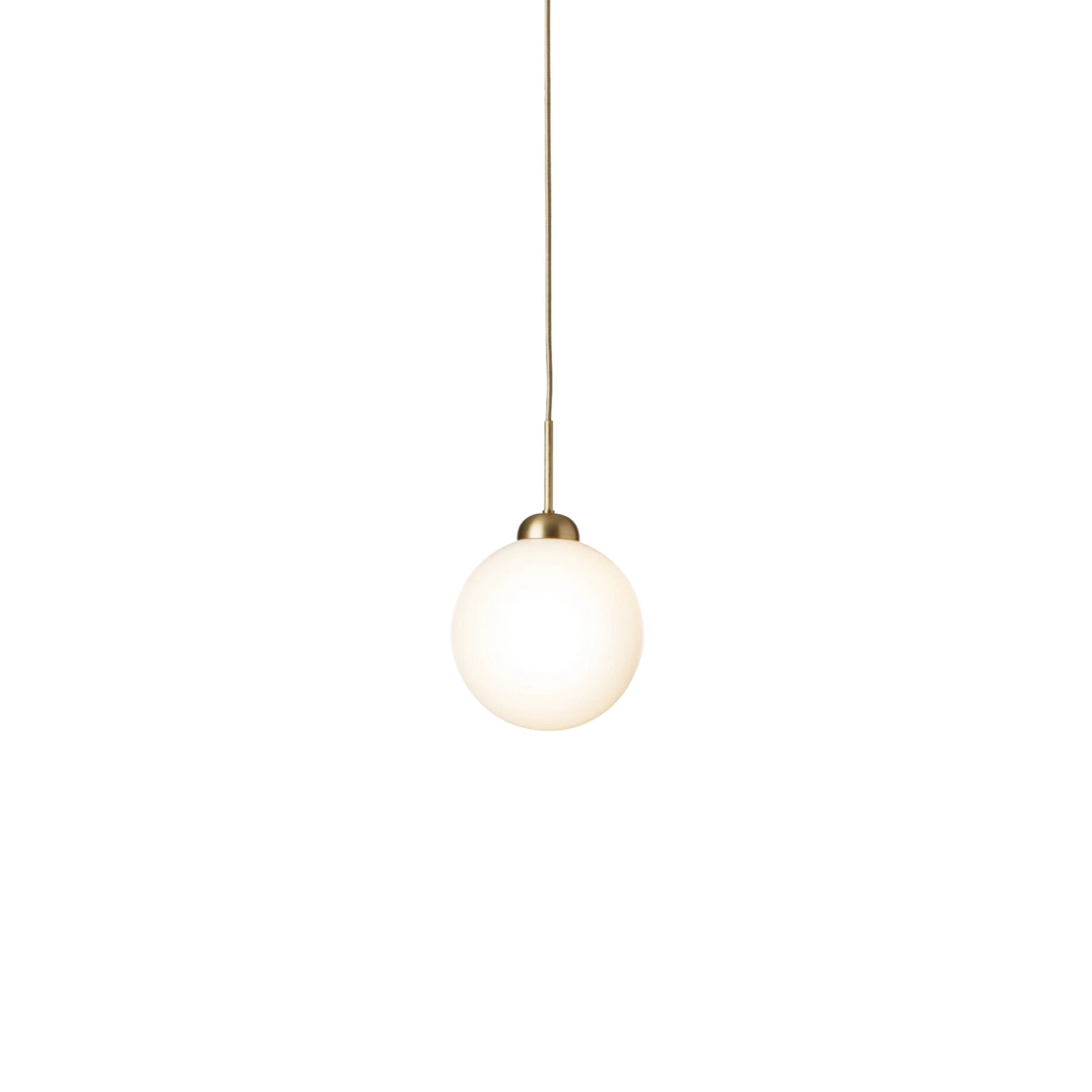 Apiales 1 Pendant: Large - 7.9