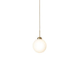 Apiales 1 Pendant: Large - 7.9