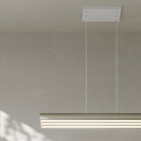 Pola. 4ft Linear Multi Pendant