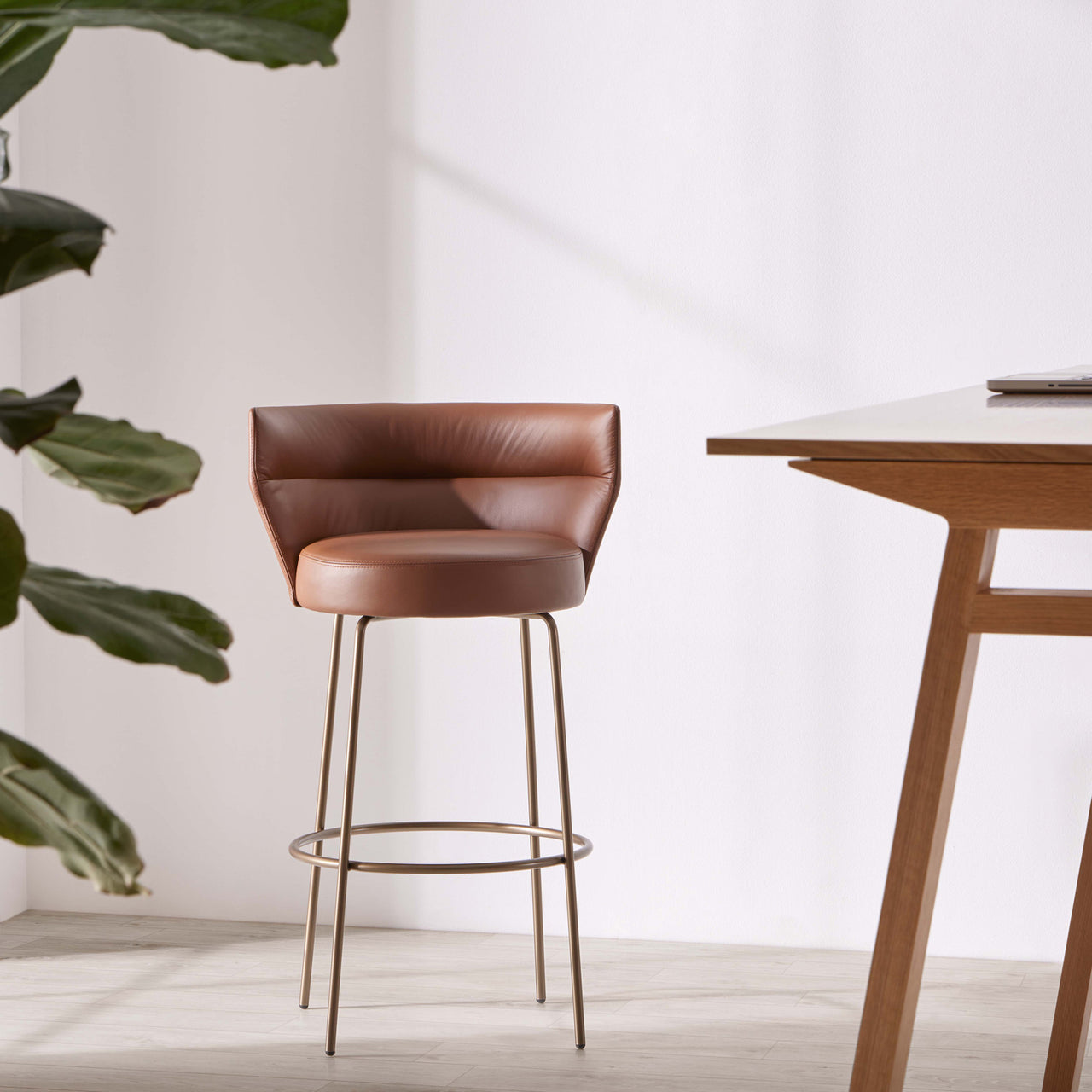 Sena Bar + Counter Stool