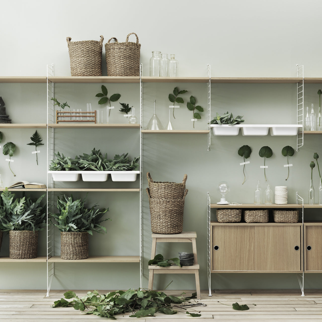 String System: Shelves + Set of 3