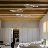 Diphy Chandelier